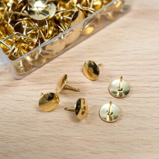 5 ETOILES 5ET B/100 PUNAISES LAI (900559)