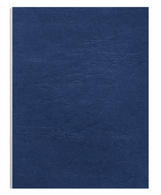 5 ETOILES 5ET B/100 PL DE COUV CUIR BLEU ROYAL250 (916442)