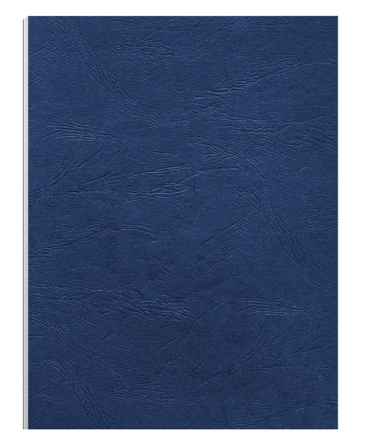 5 ETOILES 5ET B/100 PL DE COUV CUIR BLEU ROYAL250 (916442)