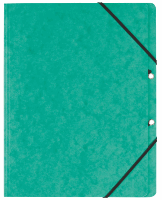 EXACOMPTA EXA CHEMISE ELAST SANS RAB CARTE LUSTREE 355G VERT (EXA55413E)